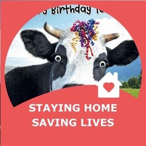 Meet your Posher, Danica